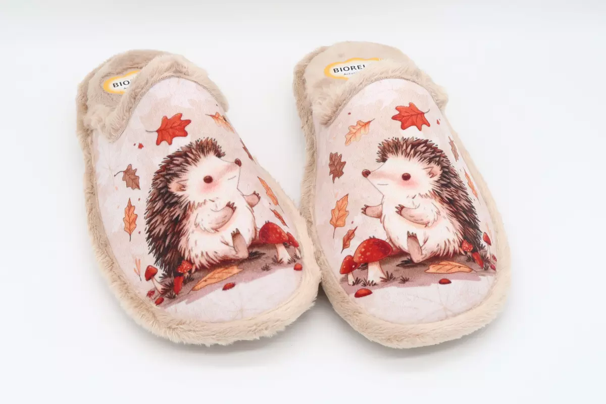 Zapatilla destalonada plantilla relax dibujo erizo | 26 